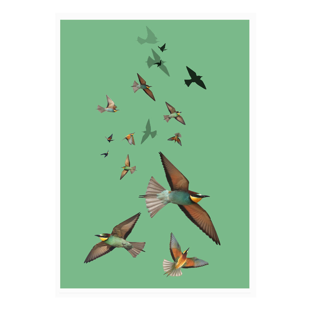 Bee Eaters Watercolour Wall Art Poster By Hershgold