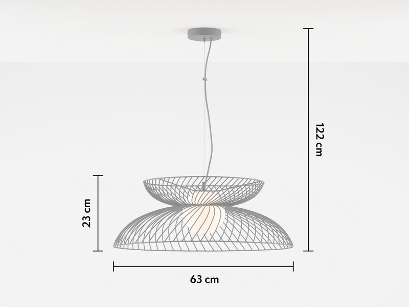 Charcoal Grey Cage Ceiling Light - Houseof.