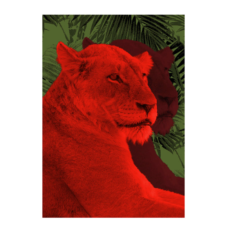 Lioness Wall Poster By Hershgold In The Red