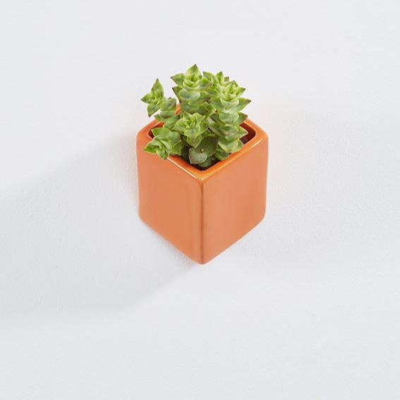 Ceramic wall planter, rectangular, orange, with plant