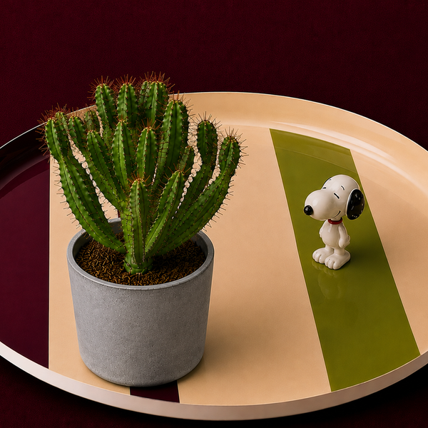 Zest round enamel tray in cream with green and pink stripes by Geese