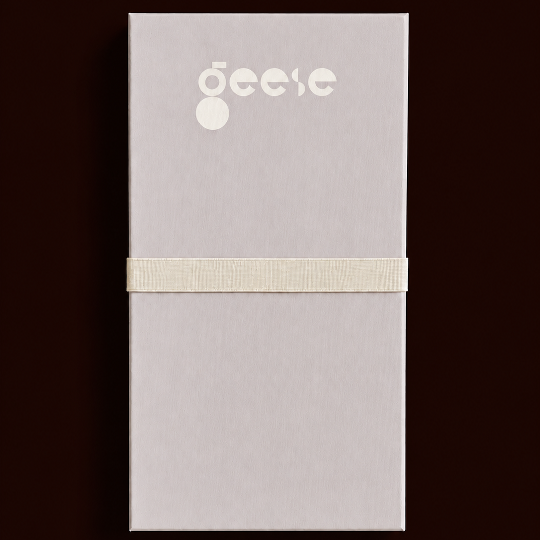 Zephyr capsule enamel tray with a split design in brown and blue by Geese