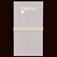 Zephyr capsule enamel tray with a split design in brown and blue by Geese