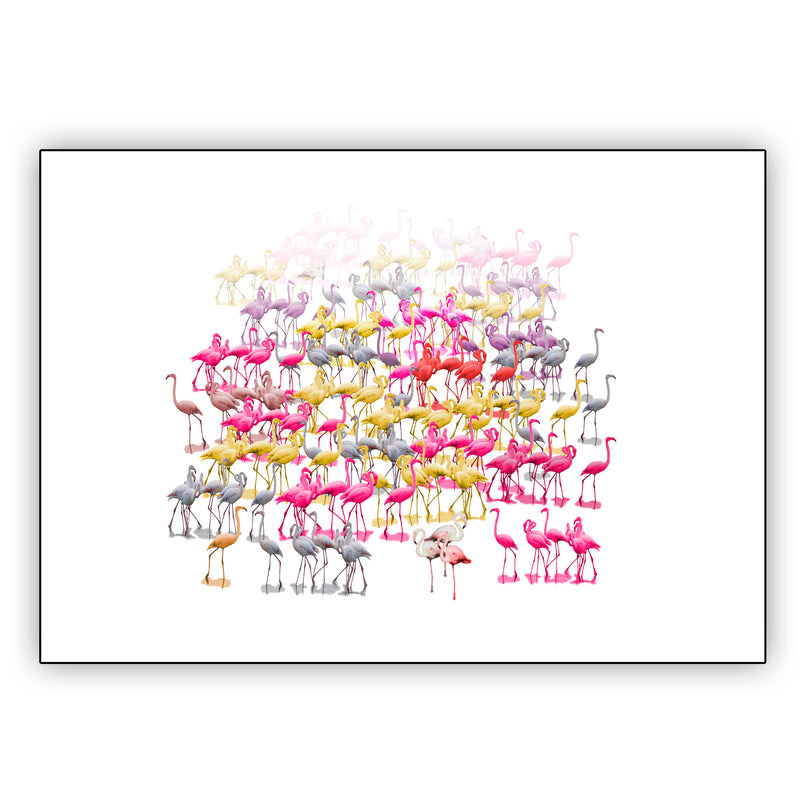 Hershgold Flamingo Family Wall Asrt Poster 