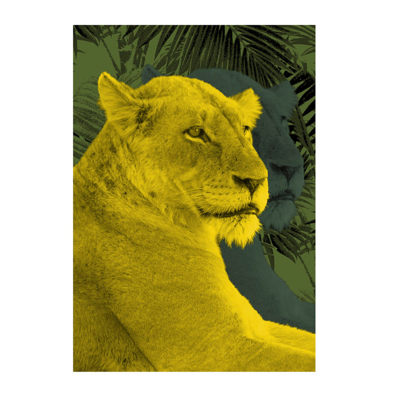 Lioness Wall Poster By Hershgold In Yellow