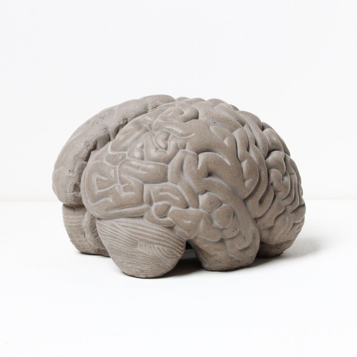 Matter Brain Bookends
