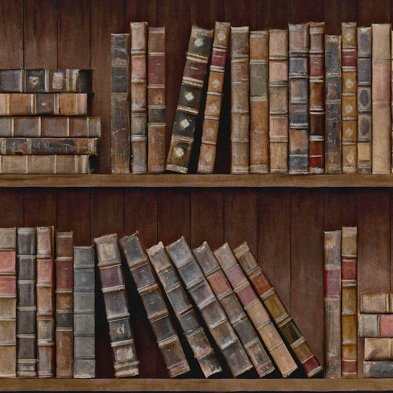 Mind The Gap Bookcase Wallpaper WP0112