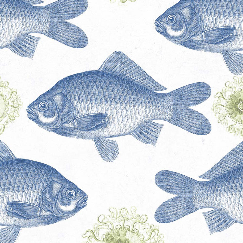 Mind The Gap Wallpaper Fish Blue WP2000