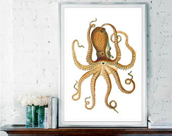 Octopus Wall Art Natural On White