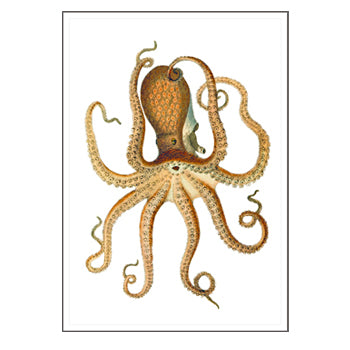 Octopus Wall Art Natural On