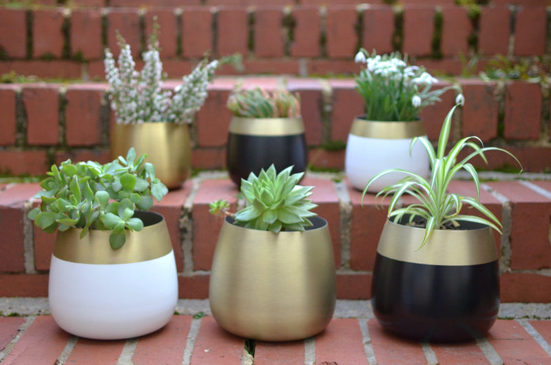 Orino Planters white , black and gold