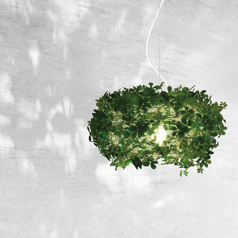 Orland Leaf Pendant Light By Di Classe