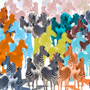 Zebra Party Colours Wall Art Poster By Hershgold